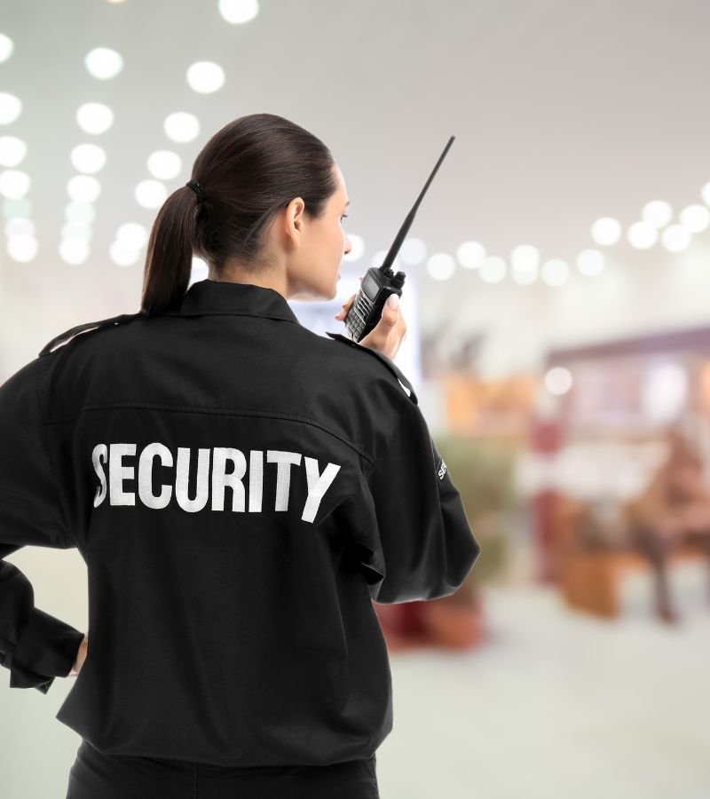 Schools (K-12) Security Services